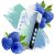 ELF BAR Ice King 40000 - Blue Razz Ice 5%