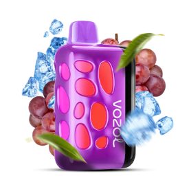 VOZOL RAVE 40000 - Grape Ice 5%